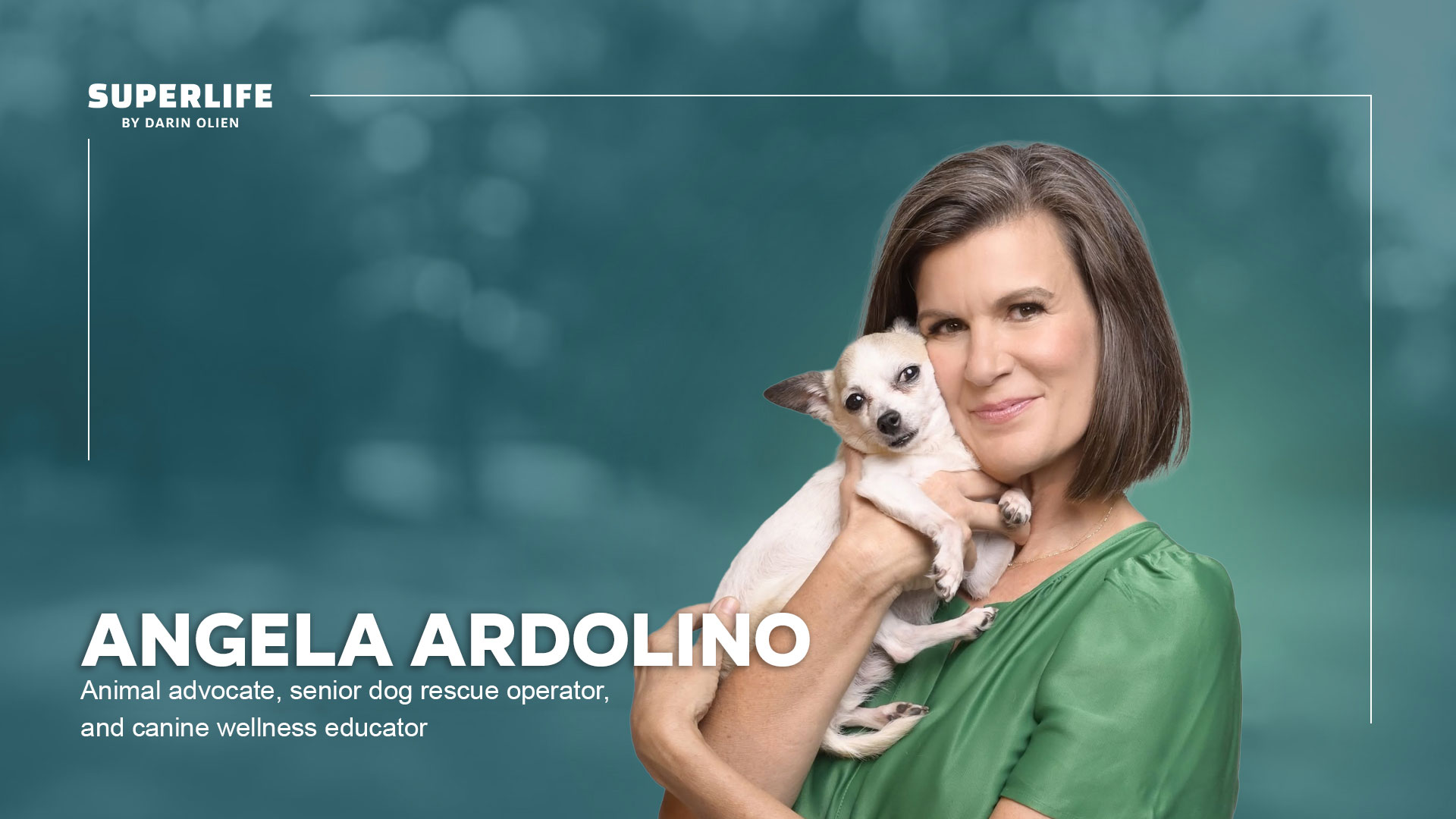 Angela Ardolino: Big Pharma's Grip on Vet Schools—What Your Vet Isn't Telling You About Kibble and Prescriptions
